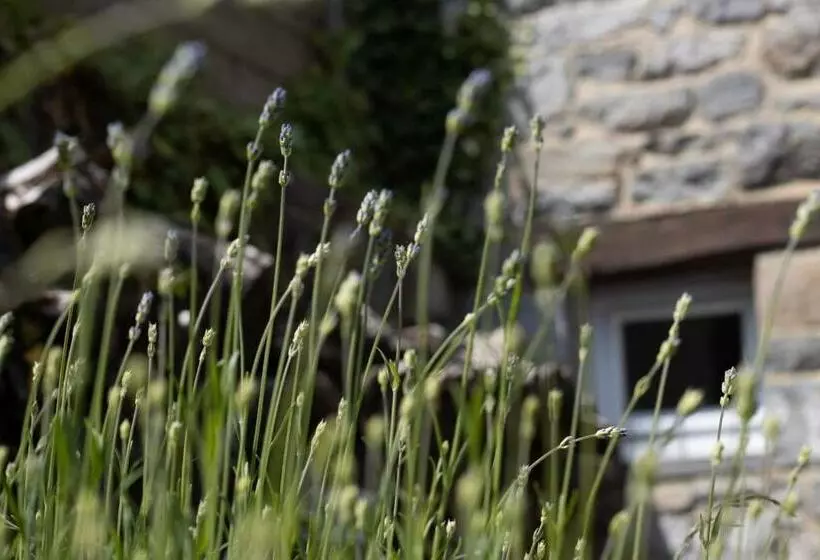 ベッドアンドブレックファースト Maison De Charme à Crupet Et Le Gîte La Suite