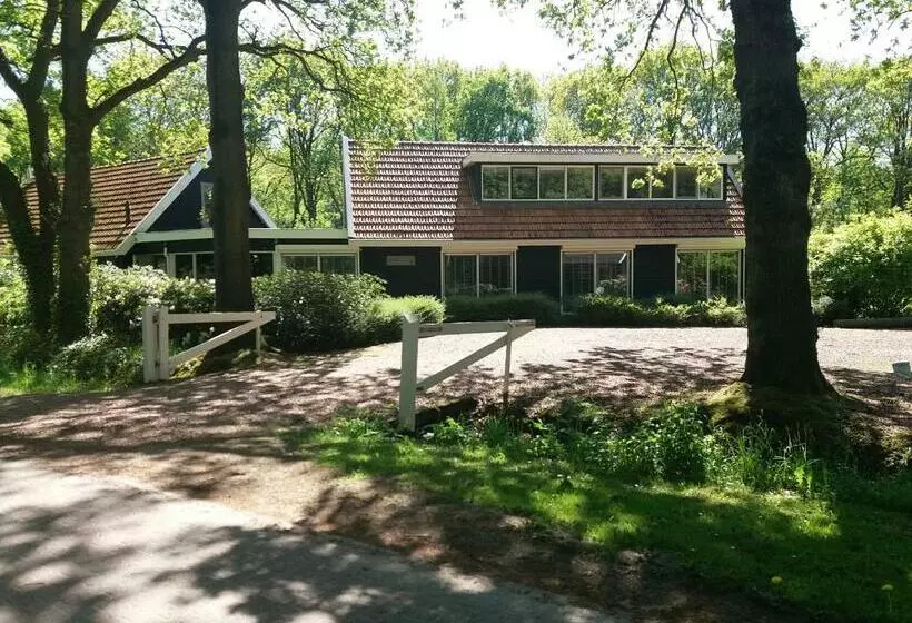 B&b Immer Met Moed