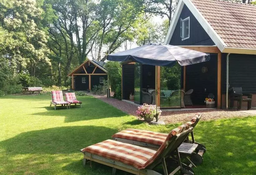 B&b Immer Met Moed