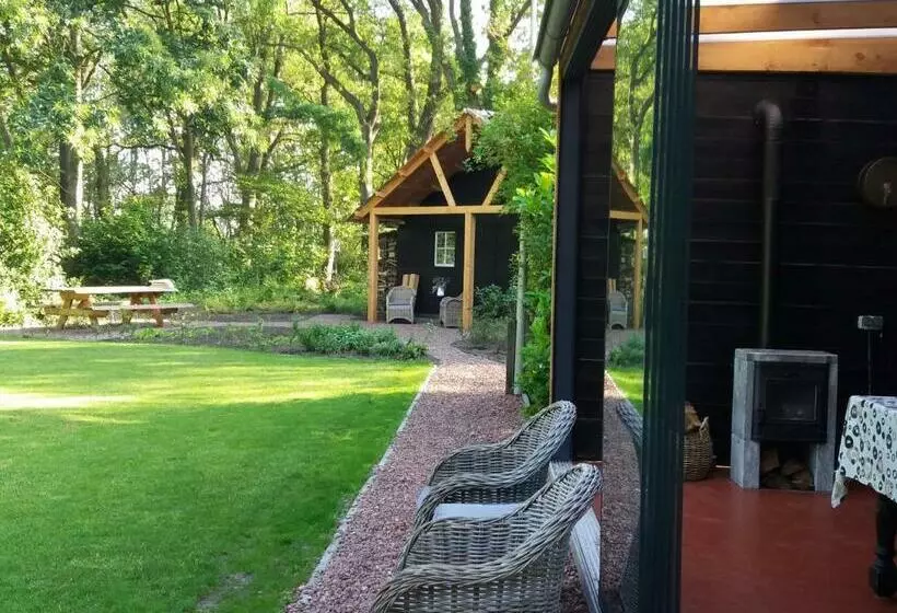 B&b Immer Met Moed