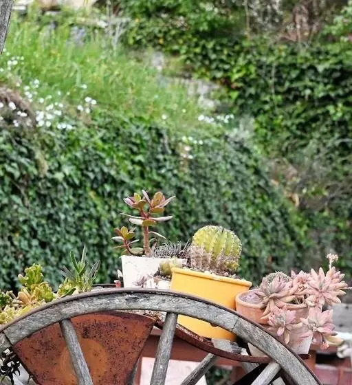 Aamiaismajoitus (B&B) Agriturismo Casamatta Azienda Agricola