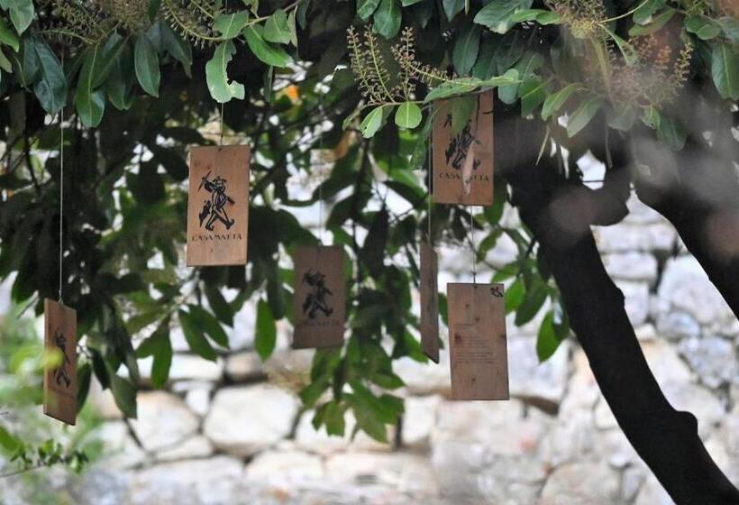 Bed and Breakfast Agriturismo Casamatta Azienda Agricola