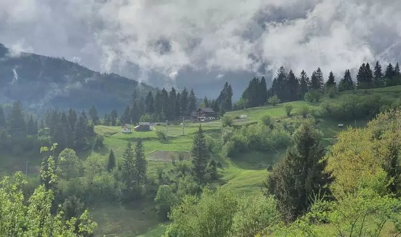 Aamiaismajoitus (B&B) Tulean Cabin