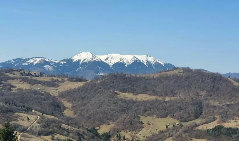 Aamiaismajoitus (B&B) Tulean Cabin