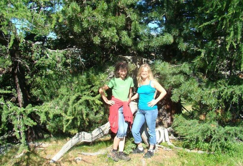 هتل Bauernhof Hatzlhof