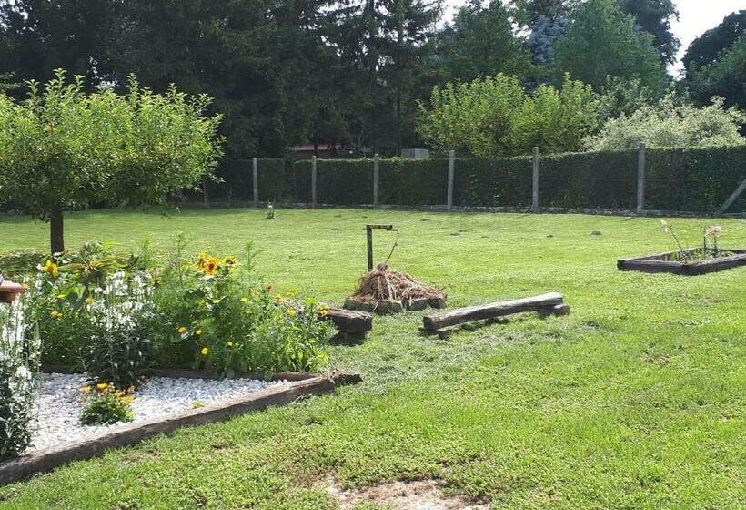 Пансион Csóka Apartman Pápa