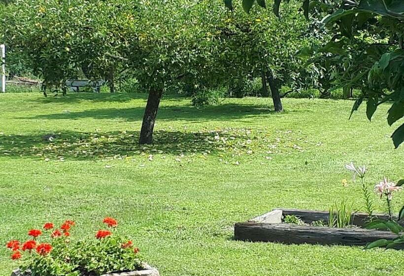 Пансион Csóka Apartman Pápa