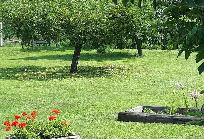 پانسیون Csóka Apartman Pápa