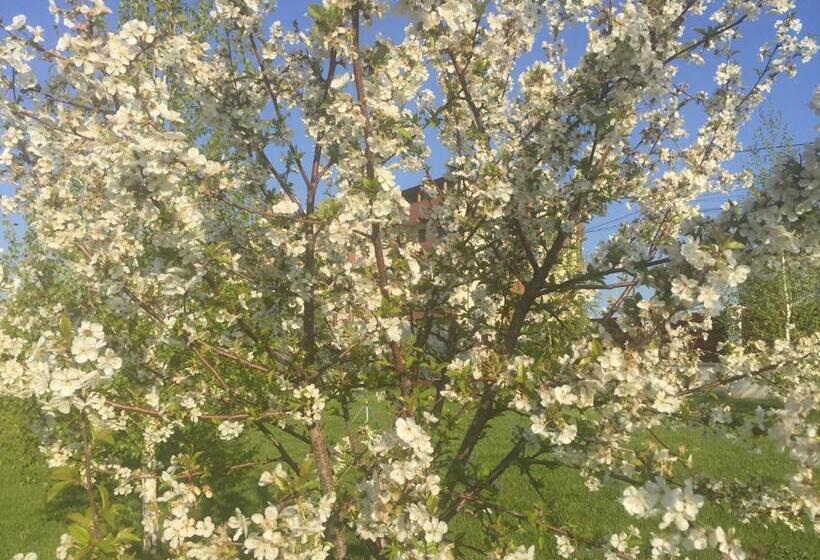 پانسیون Tango Margo