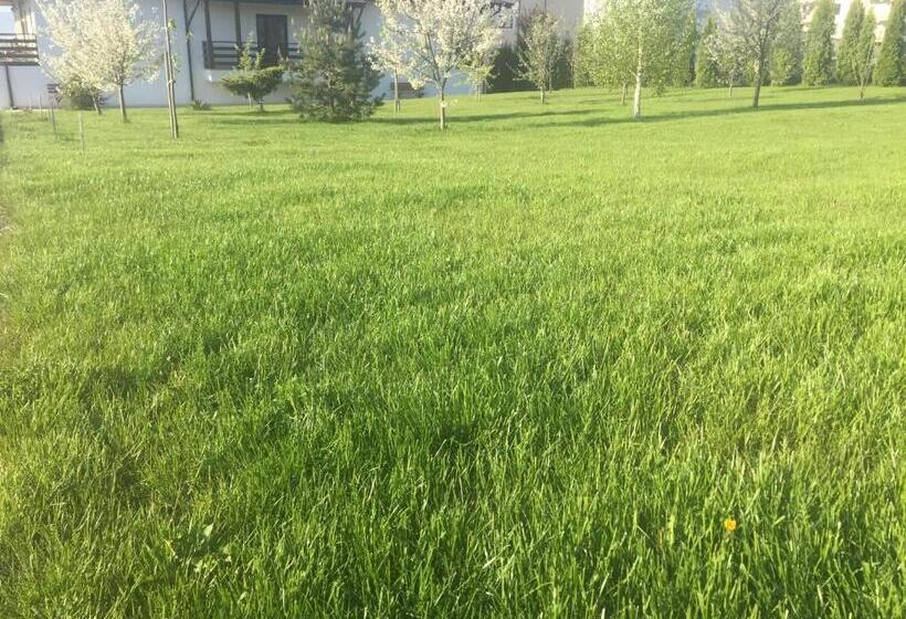 پانسیون Tango Margo