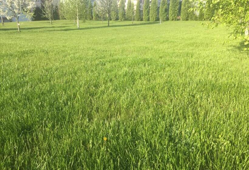 پانسیون Tango Margo