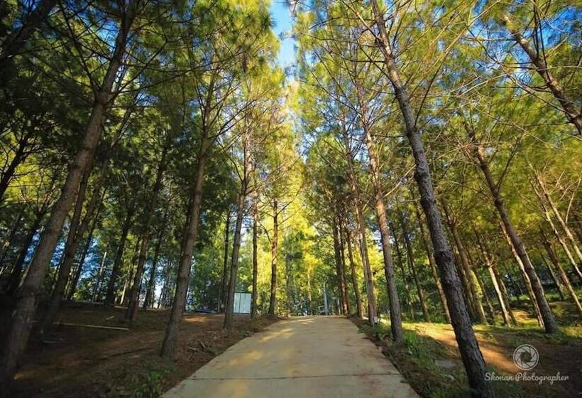 استراحتگاه Villa Pason