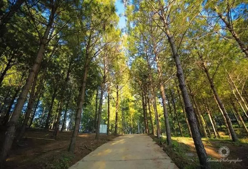 Lomakeskus Villa Pason