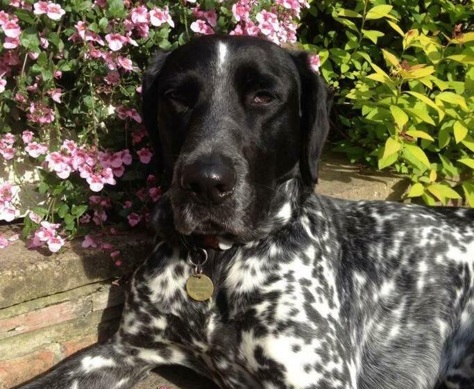 住宿加早餐  Willowbrook Farm