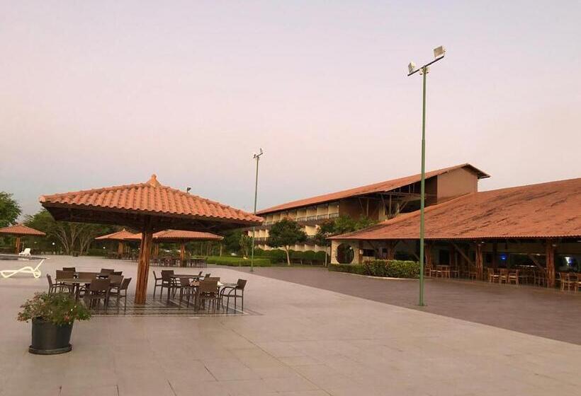 Canarius De Gravata Flat