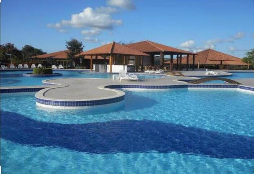 Canarius De Gravata Flat