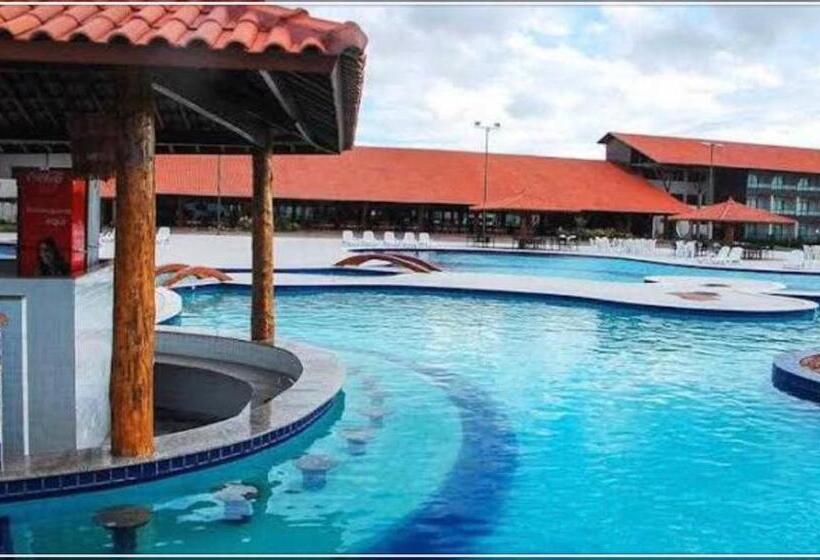 Canarius De Gravata Flat