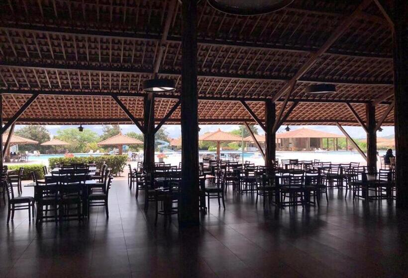 Canarius De Gravata Flat