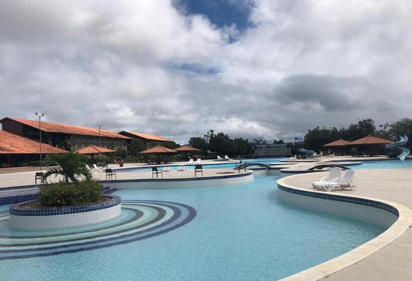 Canarius De Gravata Flat