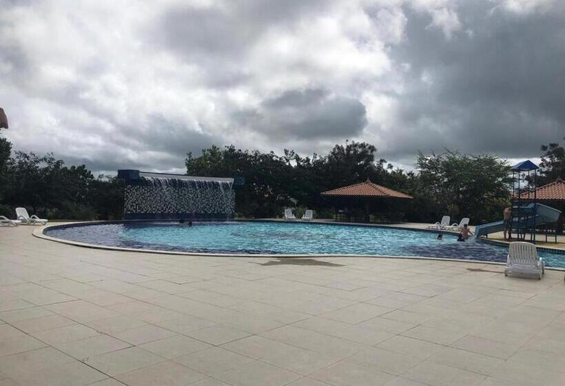 Canarius De Gravata Flat