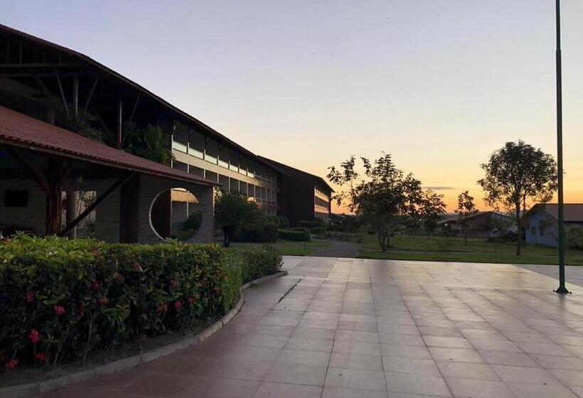 Canarius De Gravata Flat