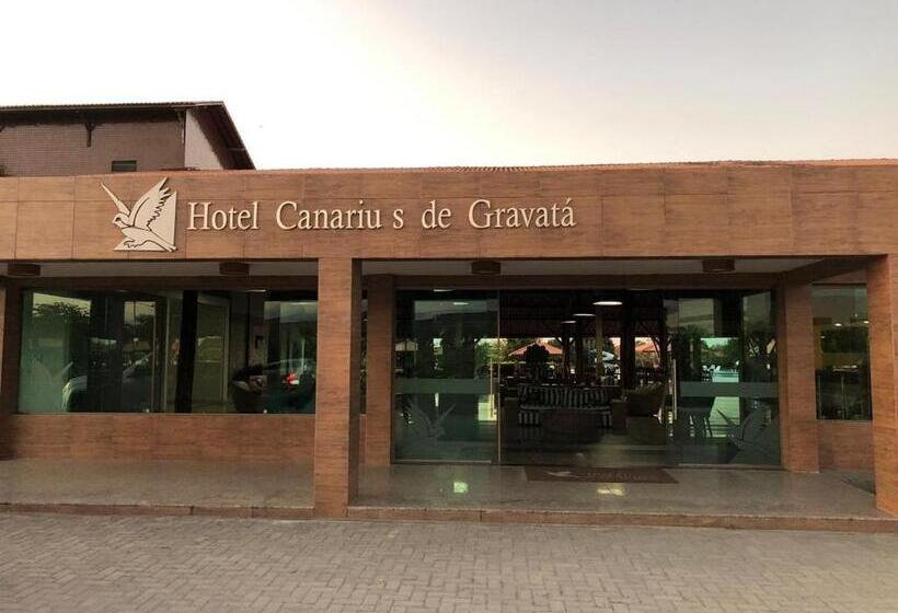 Canarius De Gravata Flat