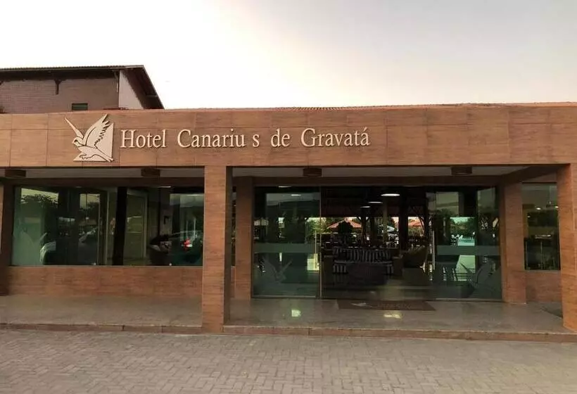 Canarius De Gravata Flat