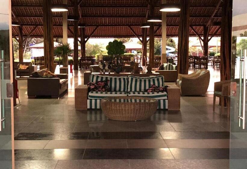 Canarius De Gravata Flat