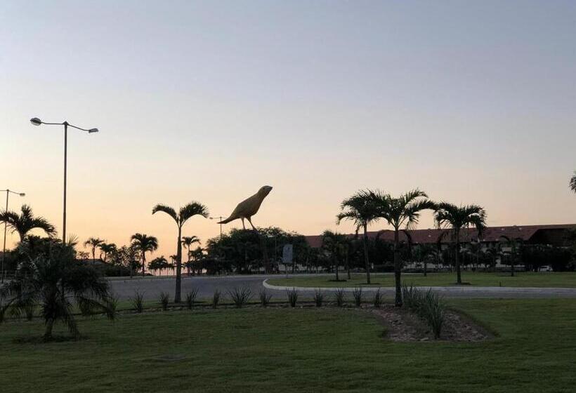 Canarius De Gravata Flat