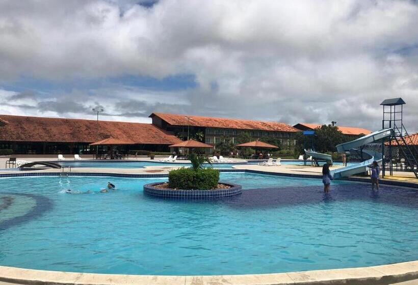 Canarius De Gravata Flat