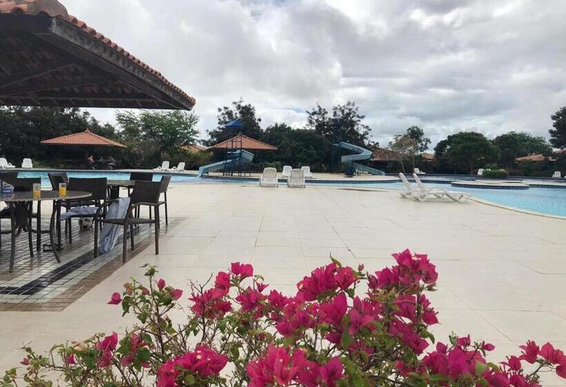 Canarius De Gravata Flat