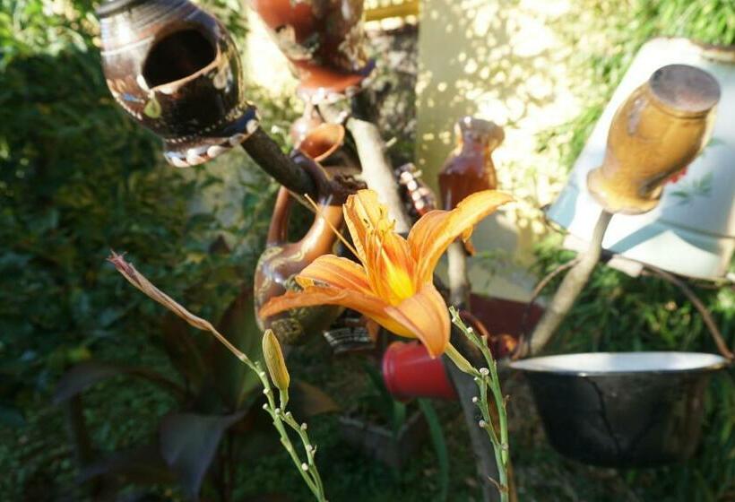 بنسيون Piri Vendégház