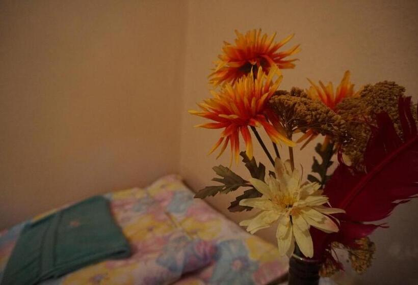 بنسيون Piri Vendégház