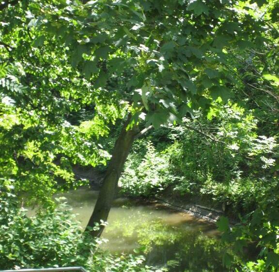 Apartment Zum Relaxen Ruhig Und Doch Zentral