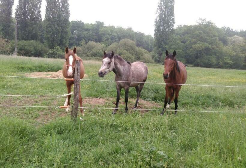 ベッドアンドブレックファースト Chambres D Hôtes Gourdon