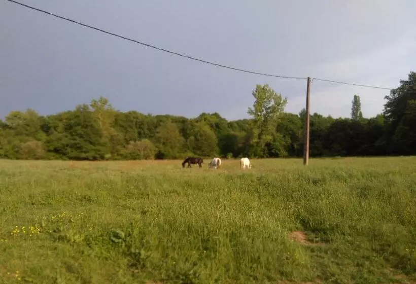Aamiaismajoitus (B&B) Chambres D Hôtes Gourdon