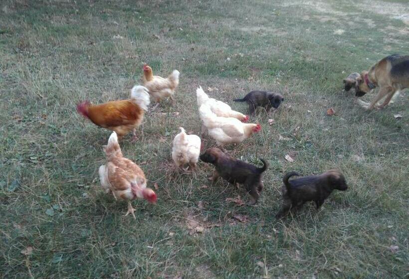 ベッドアンドブレックファースト Chambres D Hôtes Gourdon