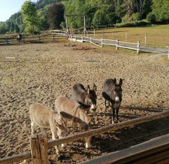 Bed and Breakfast Couettes Et Picotin