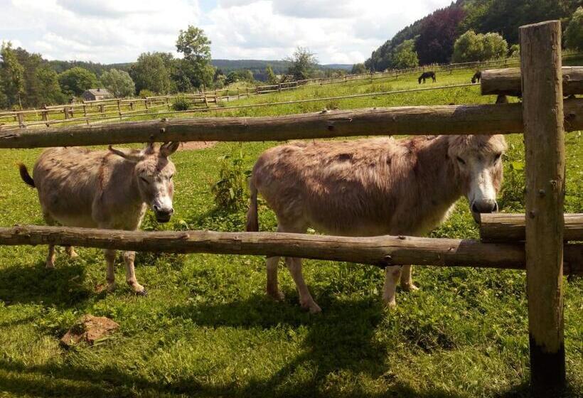 Bed and Breakfast Couettes Et Picotin