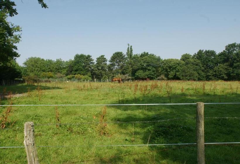 ベッドアンドブレックファースト Le Cèdre Bleu