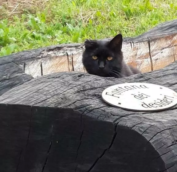 ベッドアンドブレックファースト Nikolas  Valley