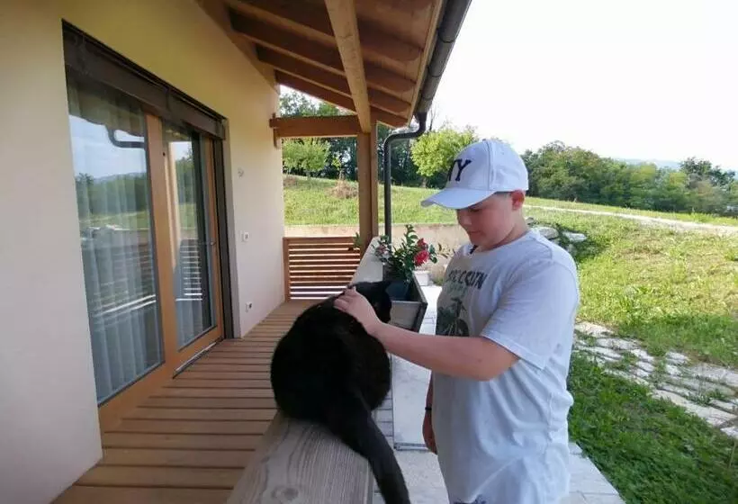 ベッドアンドブレックファースト Nikolas  Valley