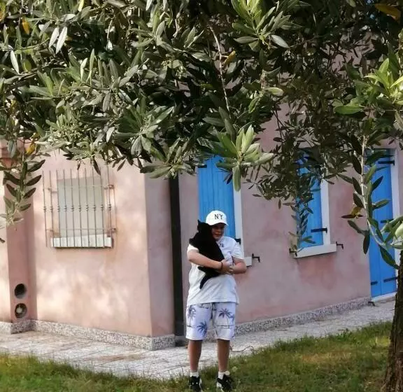 ベッドアンドブレックファースト Nikolas  Valley