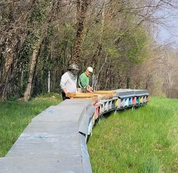 ベッドアンドブレックファースト Nikolas  Valley