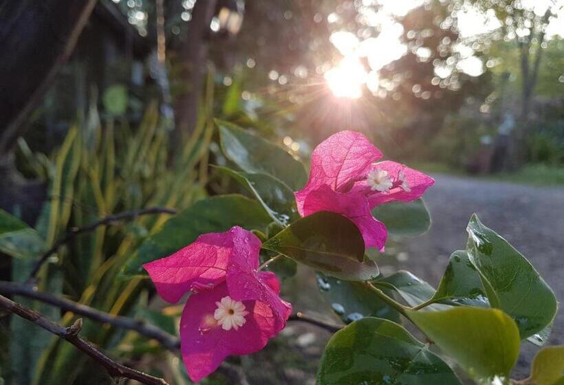 Отель Greenhouse Resort