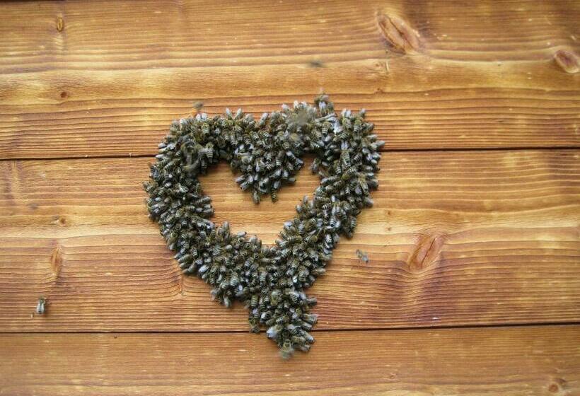 פנסיון Das Haus Kunz