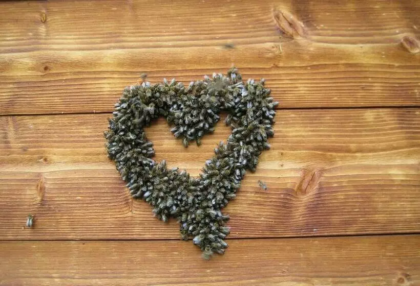 Majatalo Das Haus Kunz