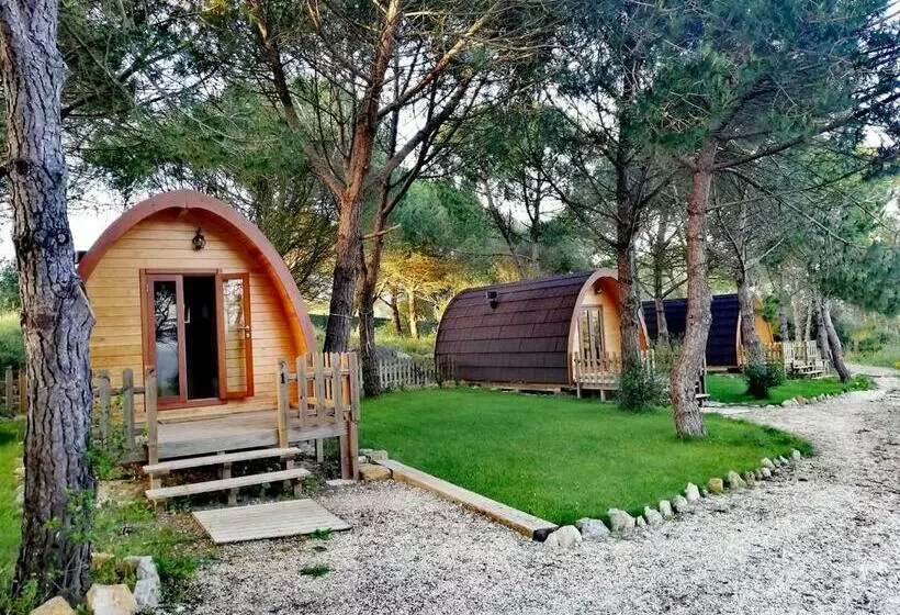 ペンション Glamping Sintra