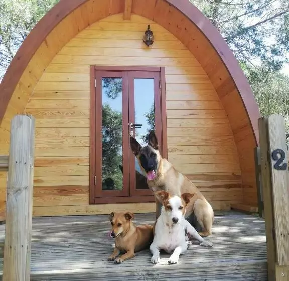 ペンション Glamping Sintra