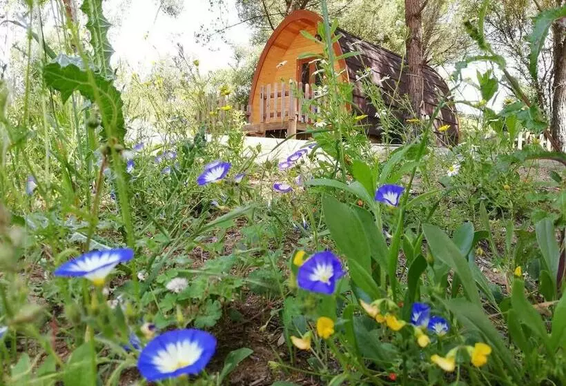 ペンション Glamping Sintra